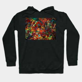 Floral red abstract Hoodie